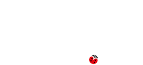 Expérience Leucan